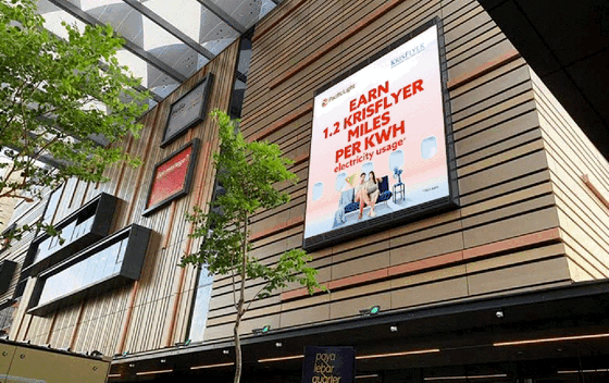 PacificLight Campaign Animation